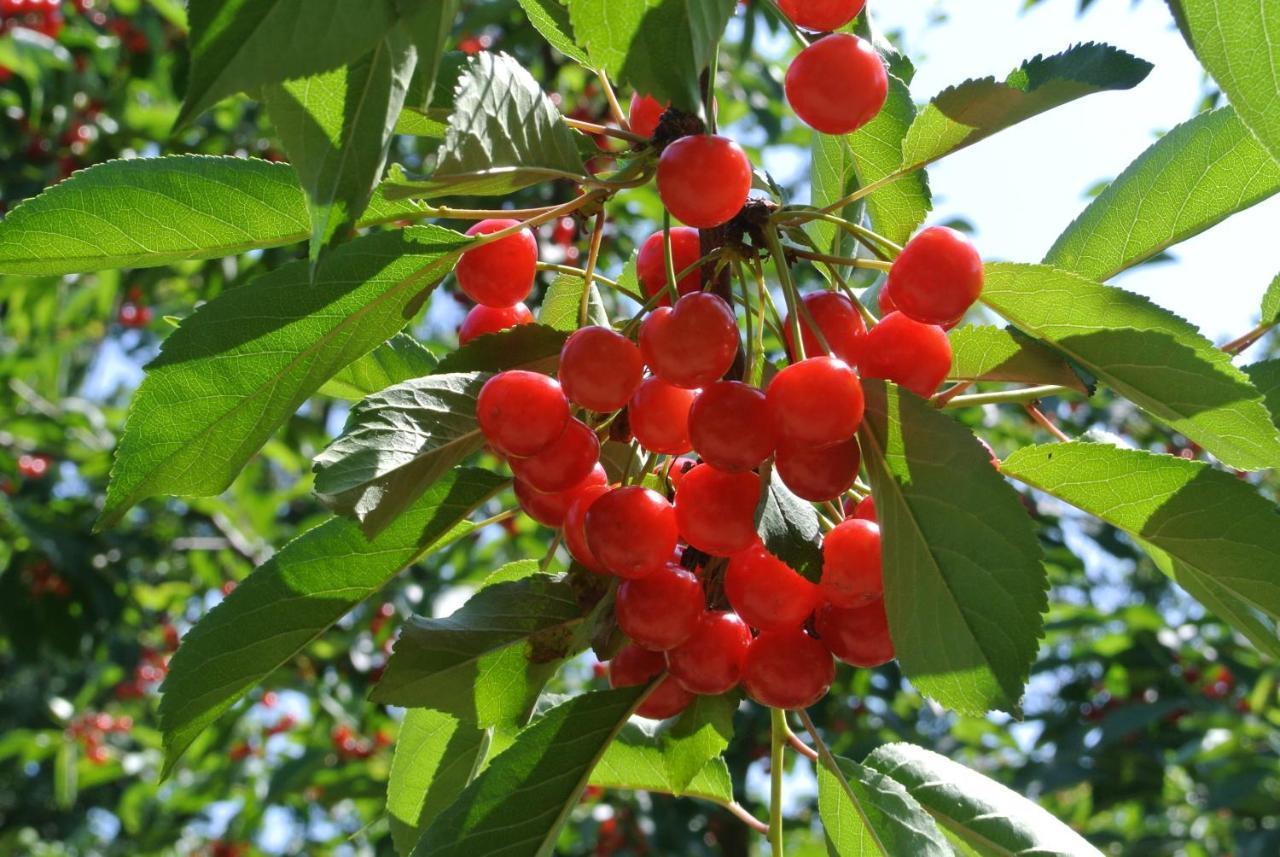 Alloggio Cantalupo Formigine Zewnętrze zdjęcie