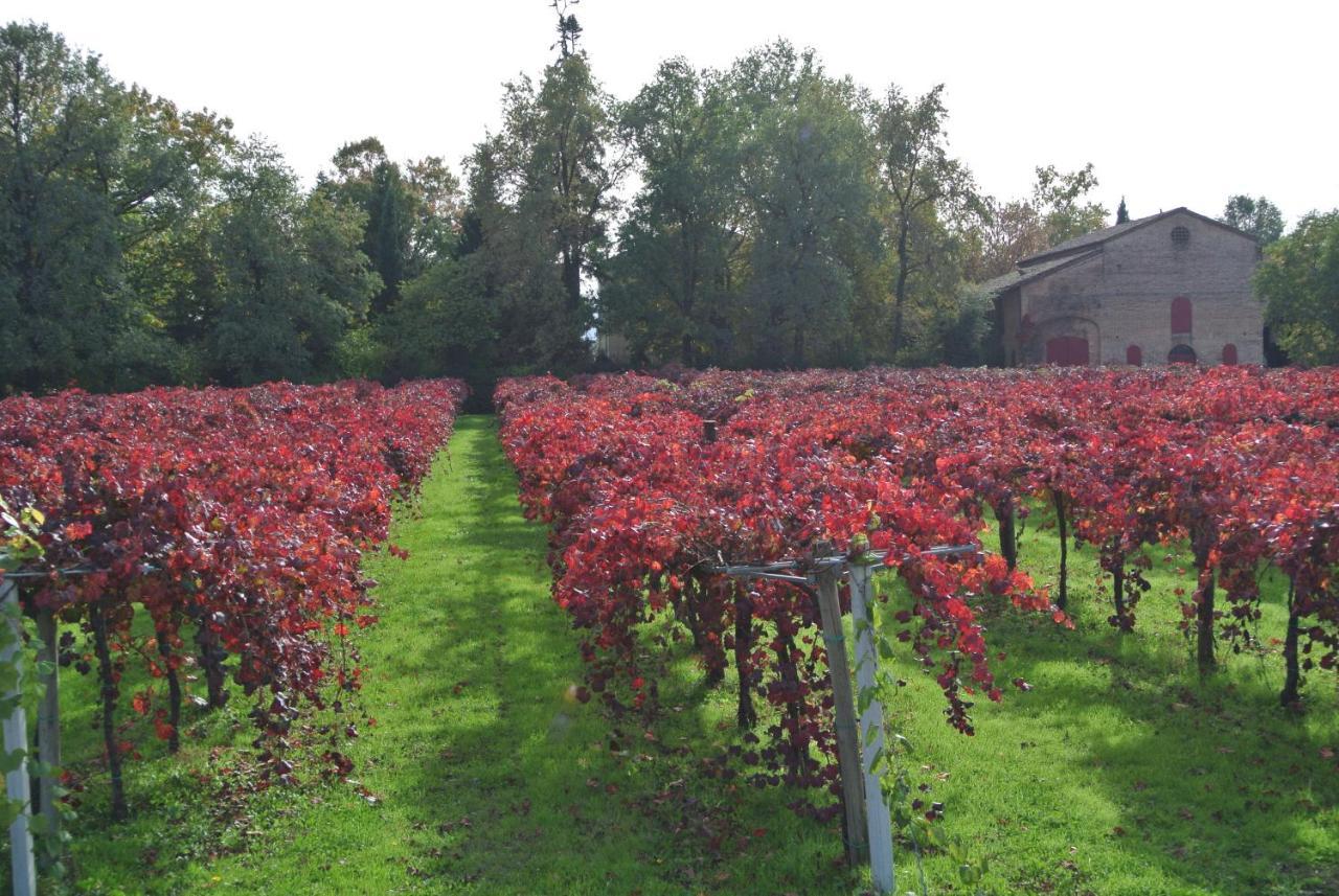Alloggio Cantalupo Formigine Zewnętrze zdjęcie